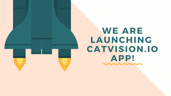 catvision.io_google_play